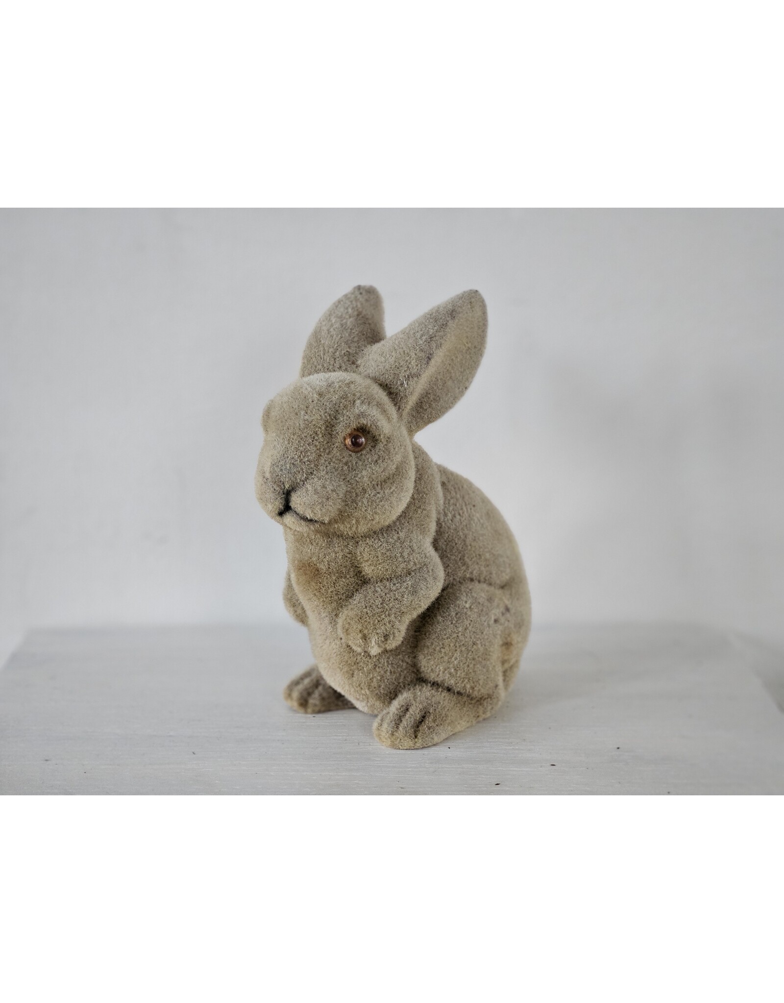 Gevlokte Flock Konijn Haas