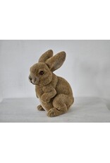 Gevlokte Flock Konijn Haas