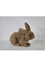 Gevlokte Flock Konijn Haas