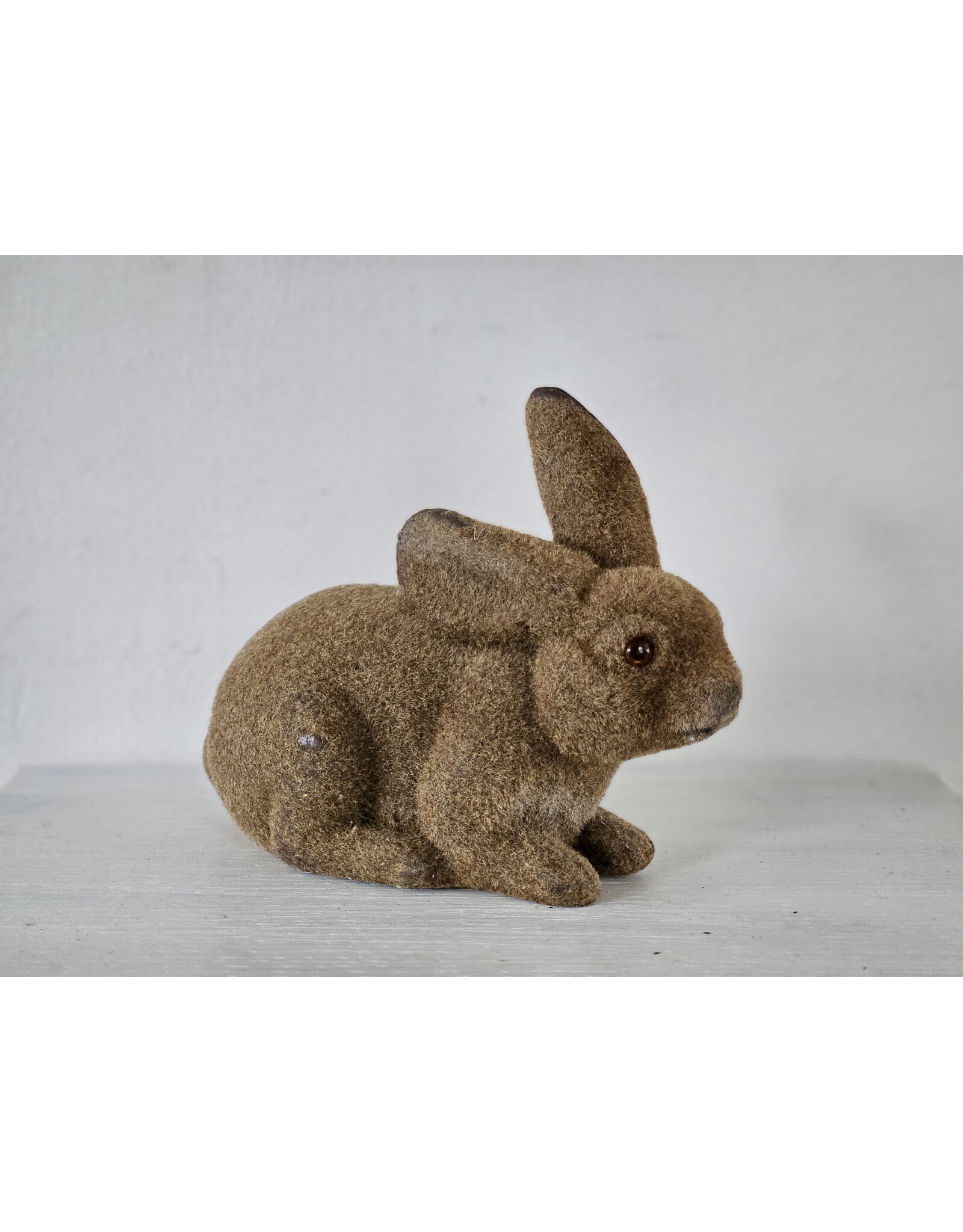 Gevlokte Flock Konijn Haas