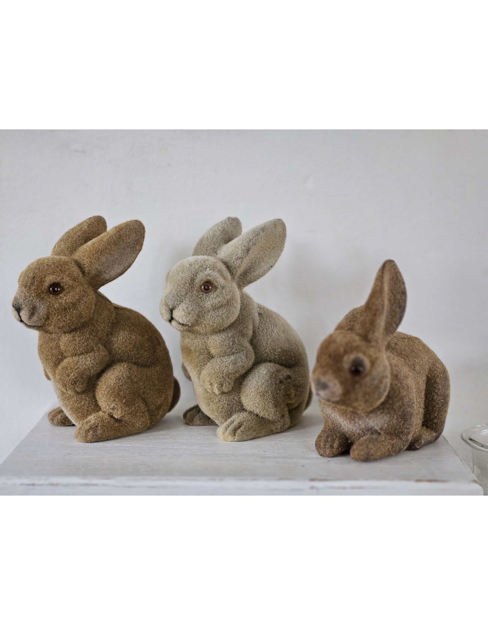 Gevlokte Flock Konijn Haas