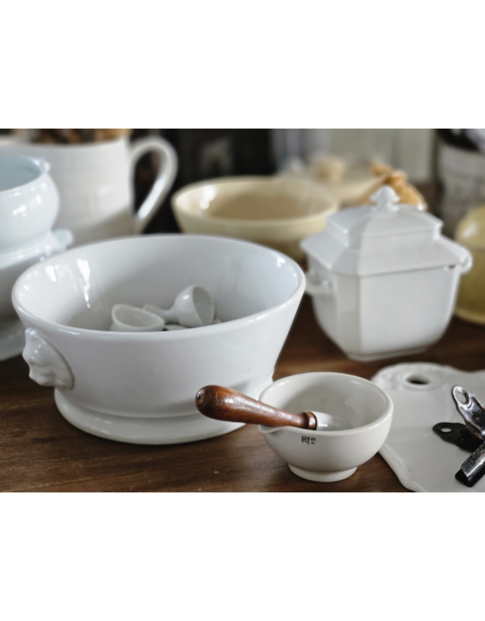 Boch Schaal Leeuwenkop Boch