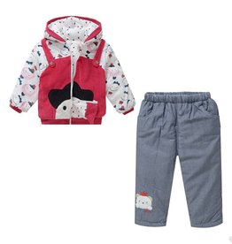 Babykleding Poppetjes Boxpakje met capuchon - rood / grijs