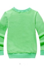 Meisjeskleding Frozen Meisjes Sweater 3 - groen