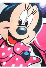 Meisjeskleding Minnie Mouse Meisjes Sweater - paars