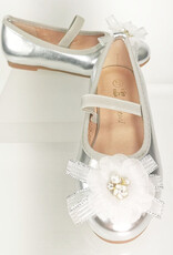 Meisjesschoenen Meisjesschoen - Ballerina's - bloem - zilver