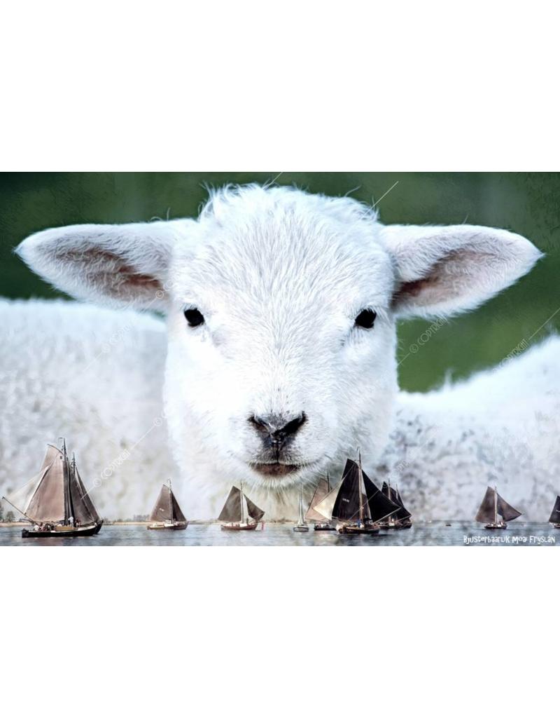 Alu Plaat Skûtsjes en Schaap 30x20cm. geborsteld uv