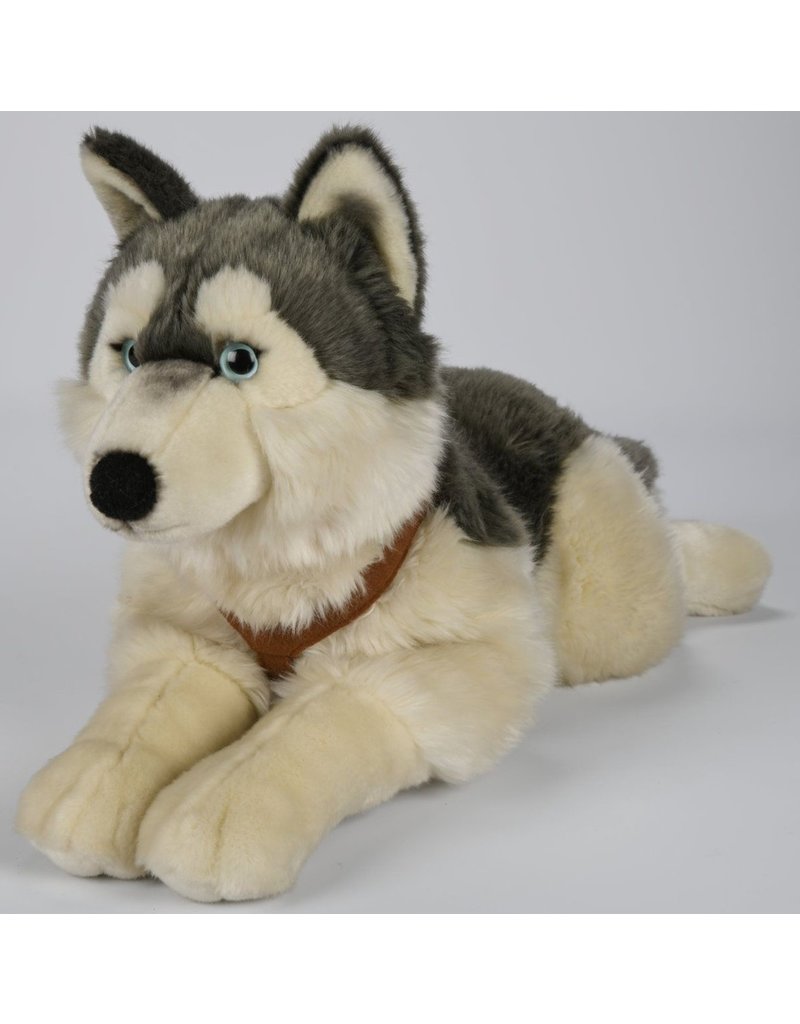 Pluche Husky met riem 62cm.