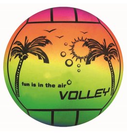 Beach Volleybal Rainbow 23cm.