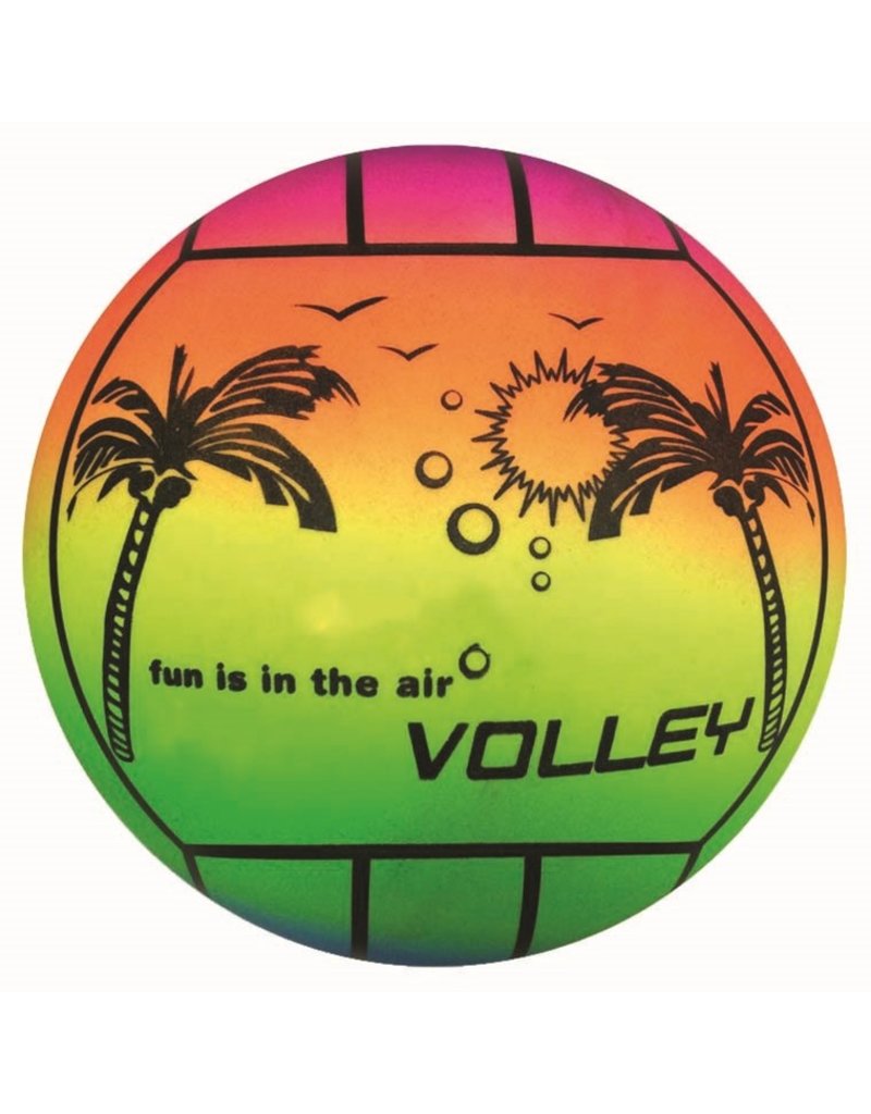 Beach Volleybal Rainbow 23cm.