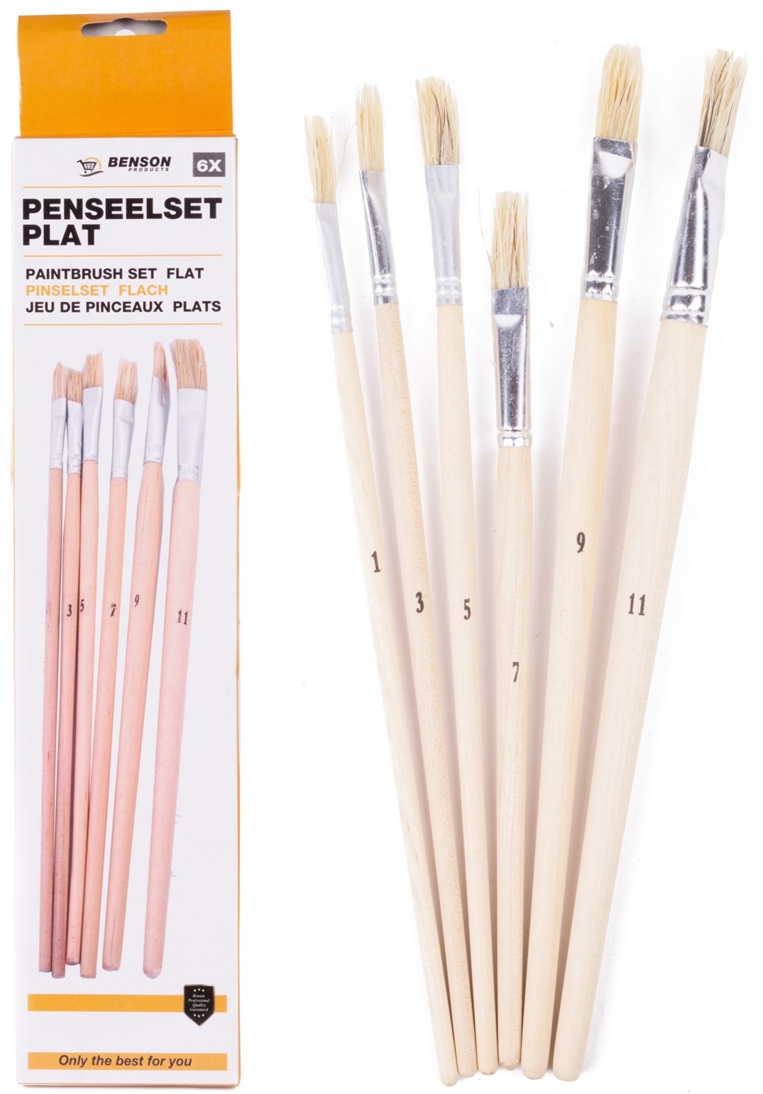 Penseelset Plat 6 delig