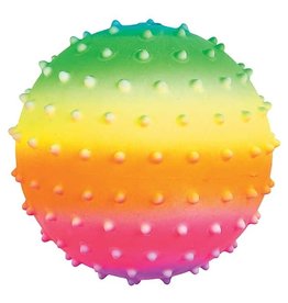 Stekelbal Rainbow 20cm. in net