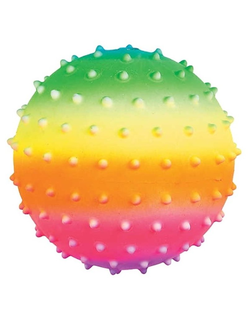 Stekelbal Rainbow 20cm. in net