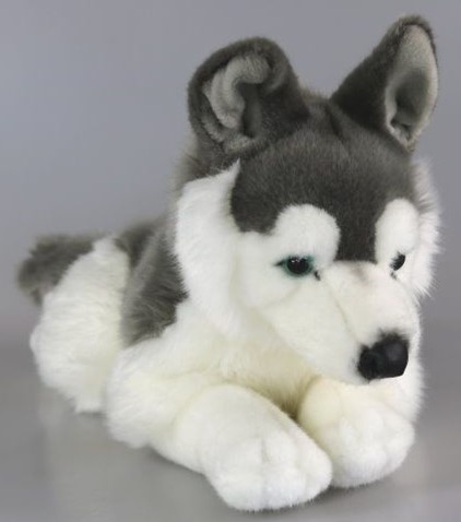 Pluche Husky 40cm.