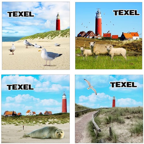 Onderzetter Glas Texel Design 10x10cm 4 assorti