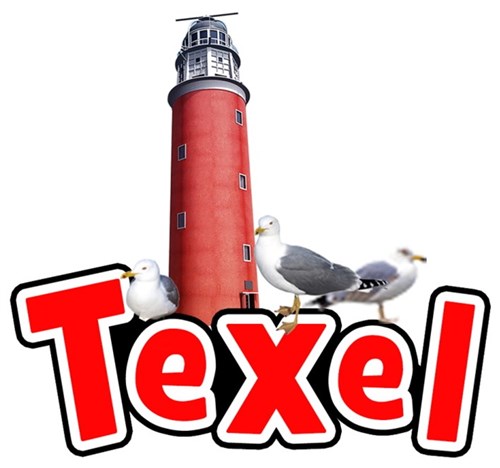 Magneet 3D Vuurtoren, Zeemeeuwen & tekst Texel 8x7cm