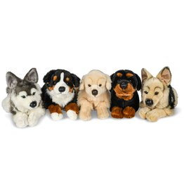 Pluche Hond Liggend ca. 38cm 5 assorti model