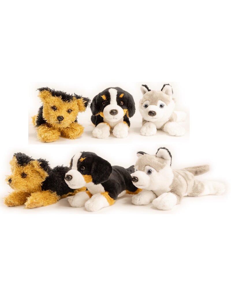 Pluche Berner Sennen, Husky of Terriër 21cm