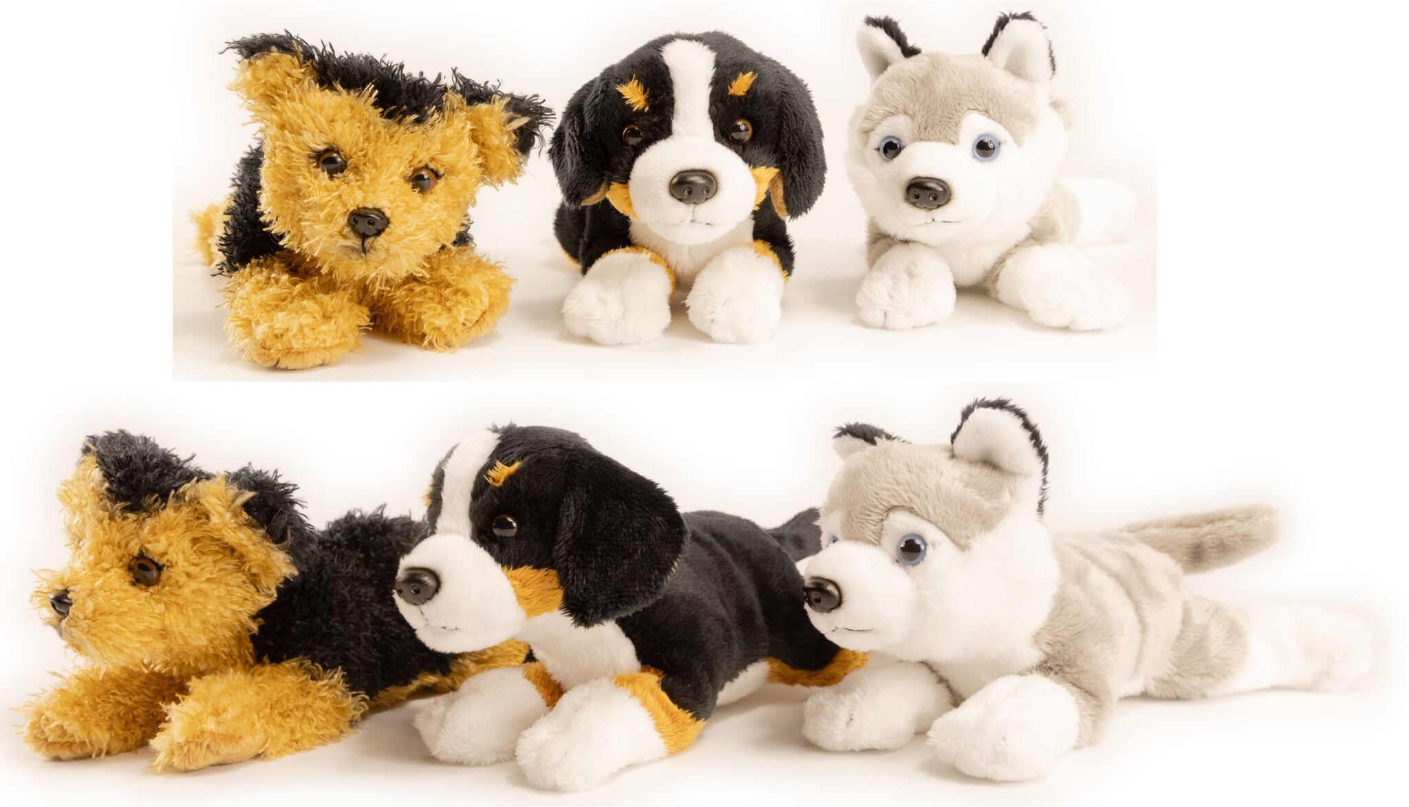 Pluche Berner Sennen, Husky of Terriër 21cm