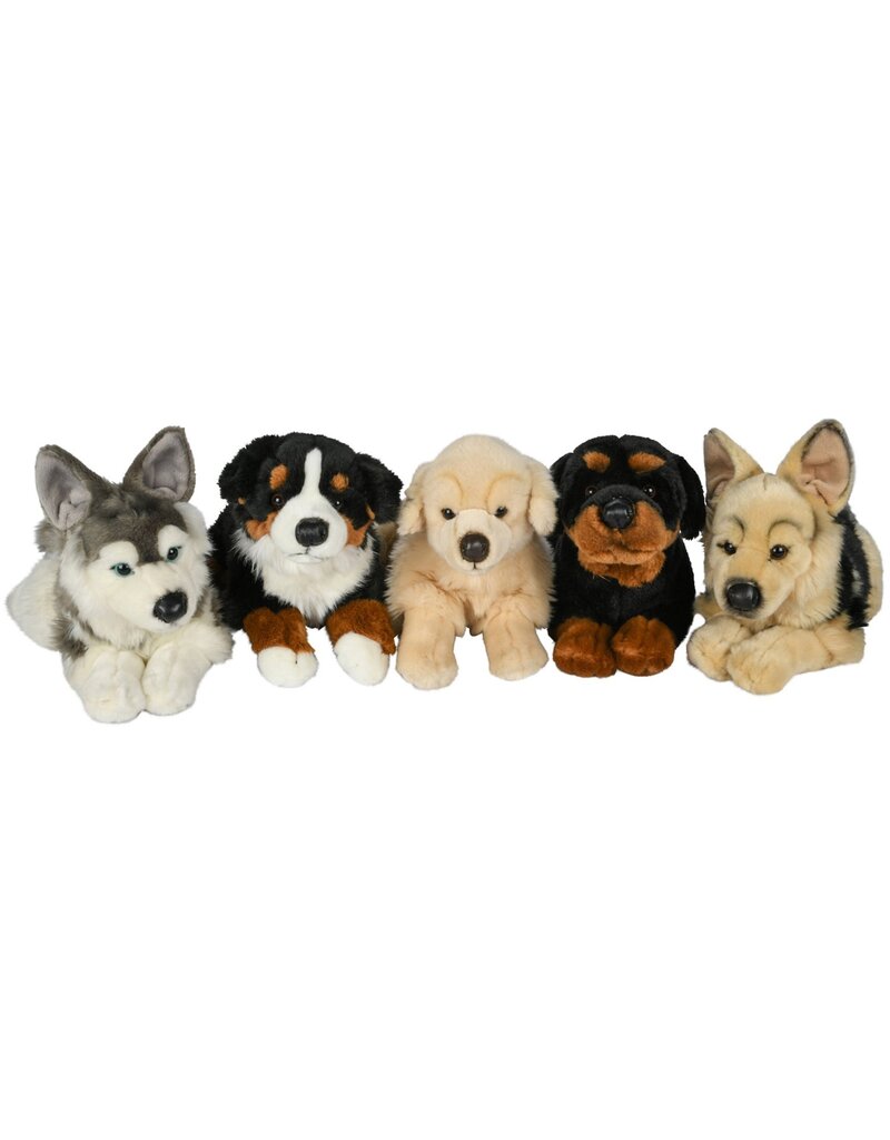 Pluche hond 40 cm. 5 assorti model