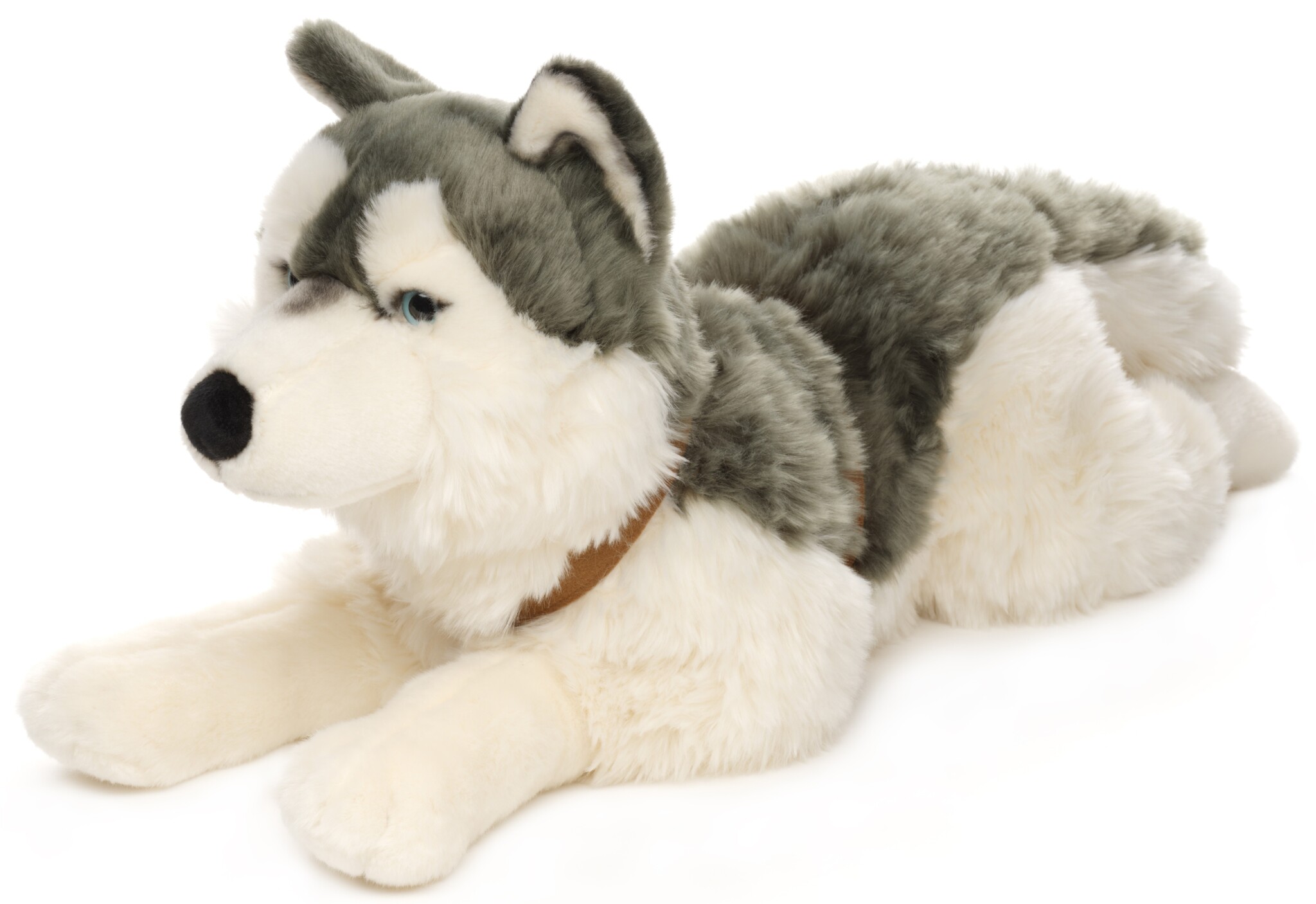 Pluche Husky met riem 62cm.