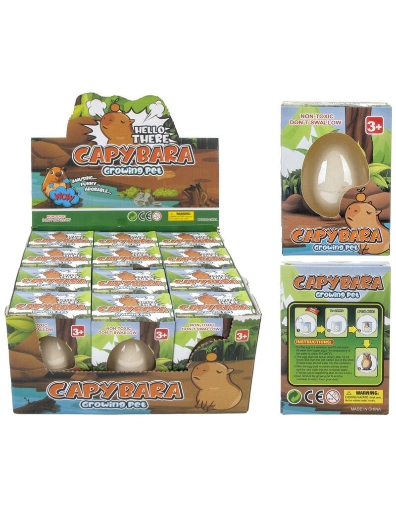 Capybara Growing Egg