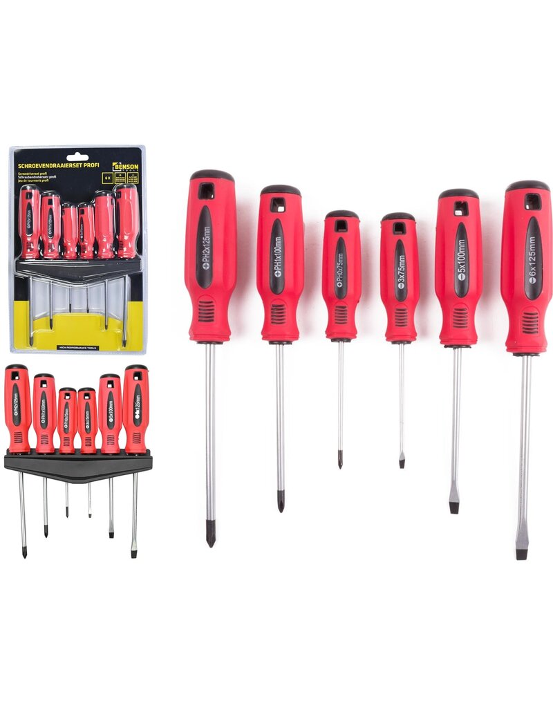 Schroevendraaier Set Profi in Rekje 6 delig