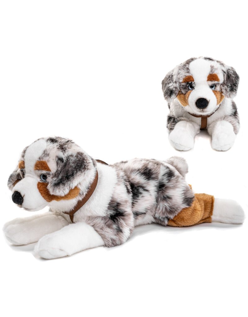 Pluche Australian Shepherd met riem 63cm