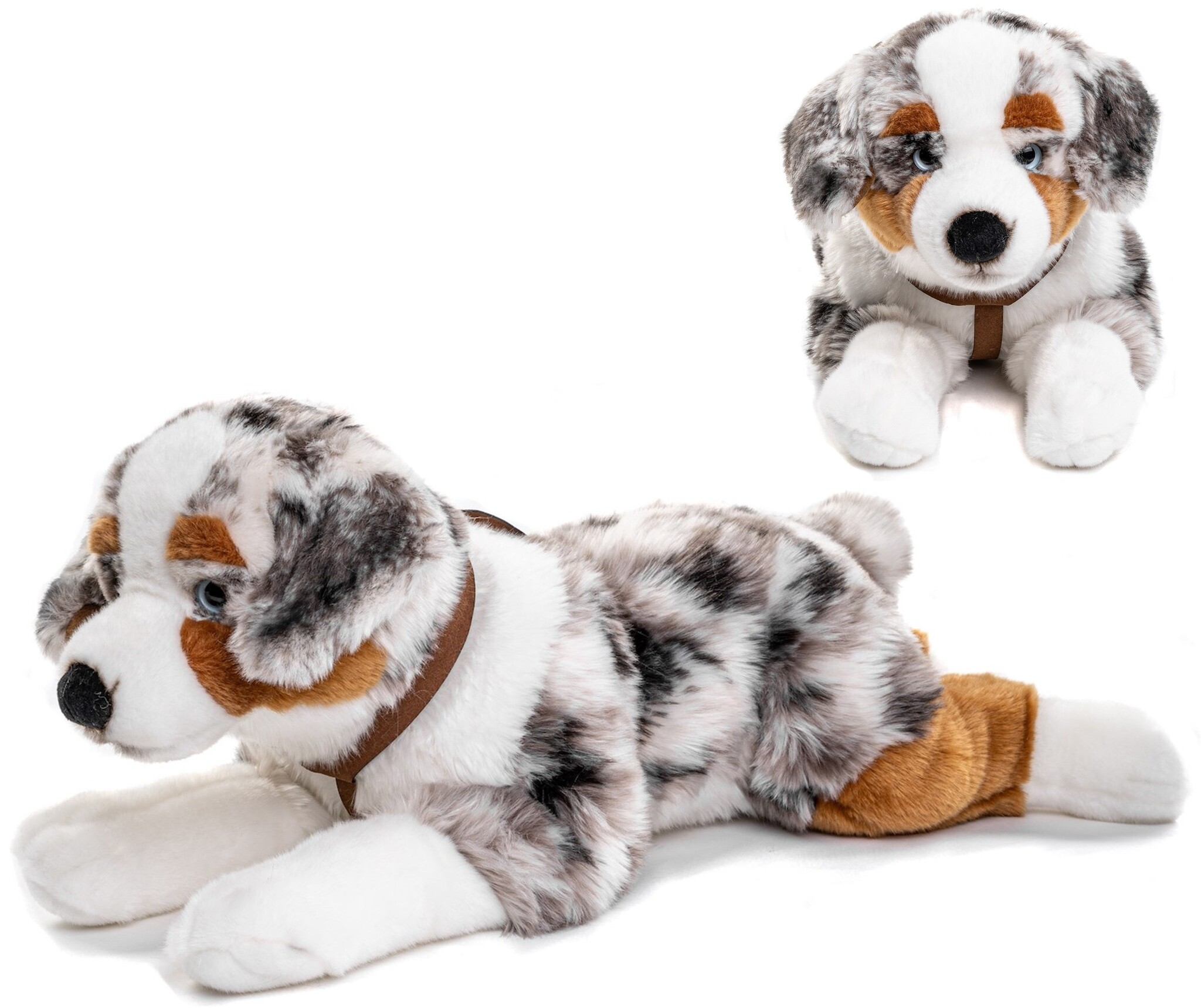 Pluche Australian Shepherd met riem 63cm