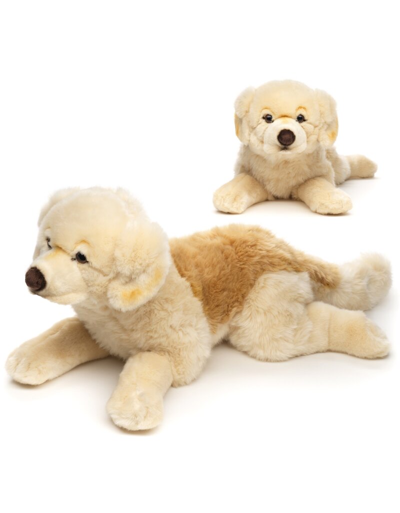 Pluche Golden Retriever 61cm