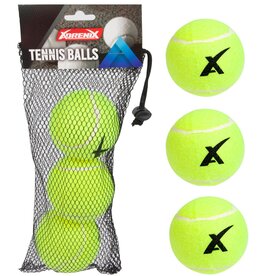 Tennisballen 3 stuks in hersluitbaar net