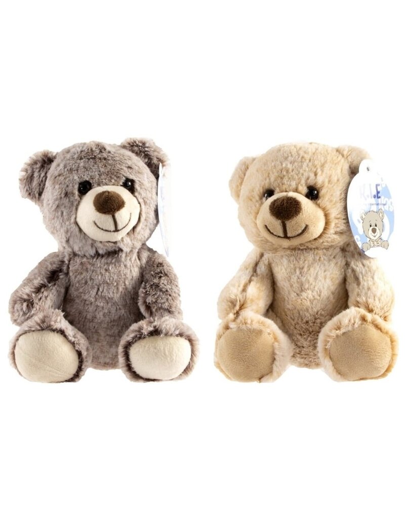 Pluche Beer 20cm 2 assorti kleur