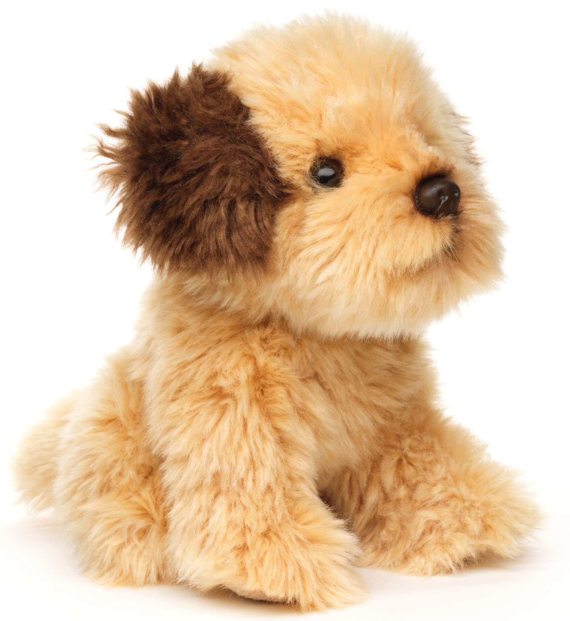 Pluche Shih Tzu Doodle 18cm