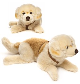 Pluche Golden Retriever met riem 60cm
