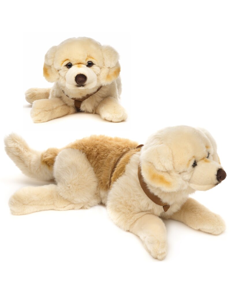 Pluche Golden Retriever met riem 60cm