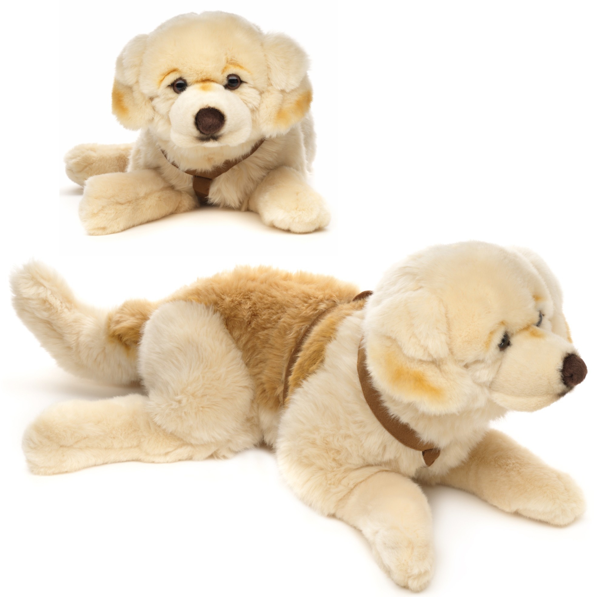 Pluche Golden Retriever met riem 60cm