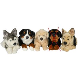 Pluche Hond Liggend 40 cm 4 assorti model