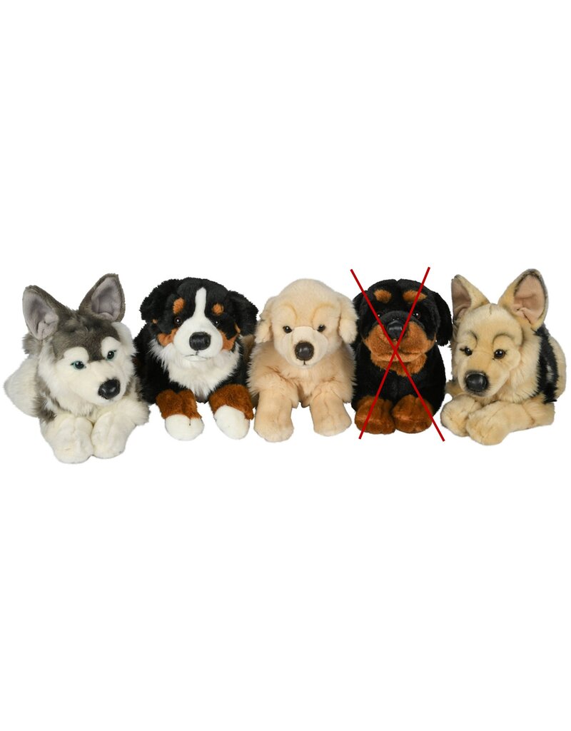 Pluche Hond Liggend 40 cm 4 assorti model