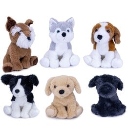 Pluche Hond Zittend 19cm. 6 assorti