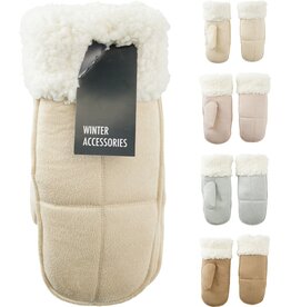 Handschoen Dames Suede Look met Teddy Voering 4 ass kleur