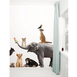 Muurstickers babykamer en - Hippebeestjes.nl