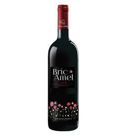 Bric Amel Nebbiolo Langhe Rosso 2023, D.O.C. Langhe