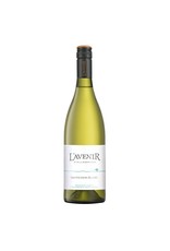 L'Avenir Horizon Sauvignon Blanc 2022, W.O. Stellenbosch