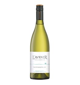 L'Avenir Horizon Sauvignon Blanc 2022, Stellenbosch