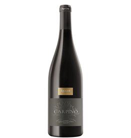 Az. Agr. Ricchi, Lombardia, Italië Ricchi Carpino Merlot 2022, Garda