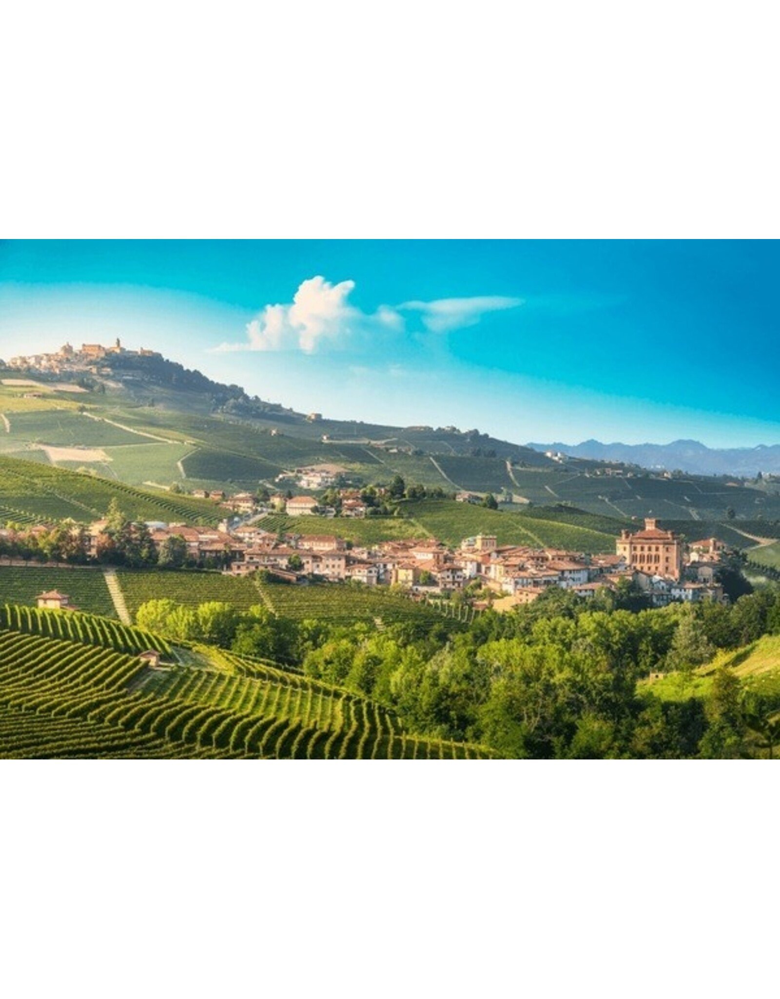 Masterclass #4 05/06/26 rode wijn Italië