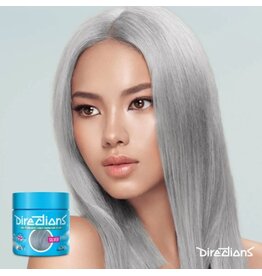 Directions Color  89ml. Silver
