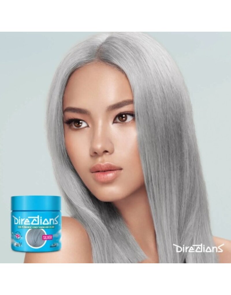 Directions Color  89ml. Silver