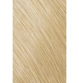 Topchic 10N  Goldwell Topchic 60ml Extra Licht Blond