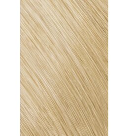 Topchic 10N  Goldwell Topchic 60ml Extra Licht Blond